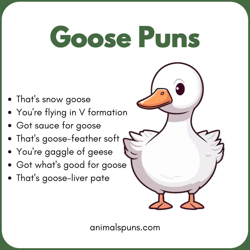 Best Goose Puns of All Time: goose pun illustration