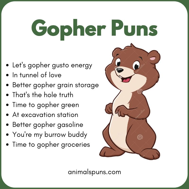 Short Gopher One-Liners: gopher pun illustration
