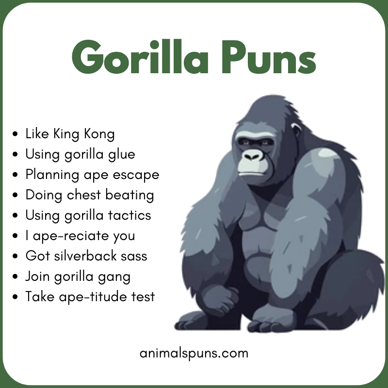 Best Gorilla Puns of All Time 🦍: gorilla pun illustration