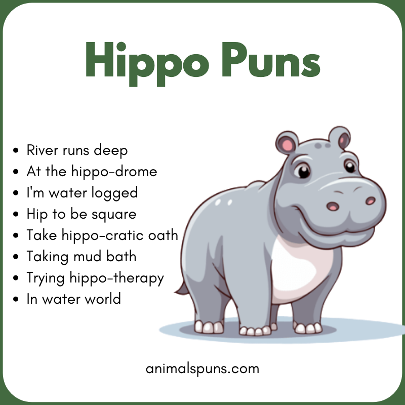 Short One-Liner Hippo Puns: hippo pun illustration