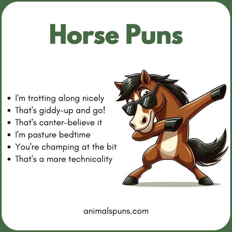 Cute Horse Puns for Kids 🐎: horse pun illustration