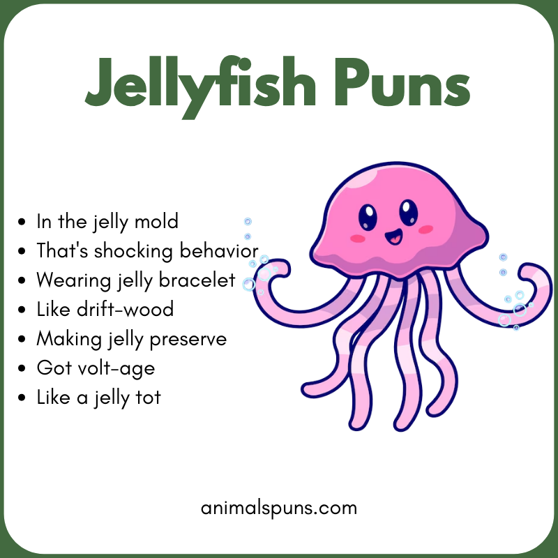 Jellyfish Puns for Kids: jellyfish pun illustration