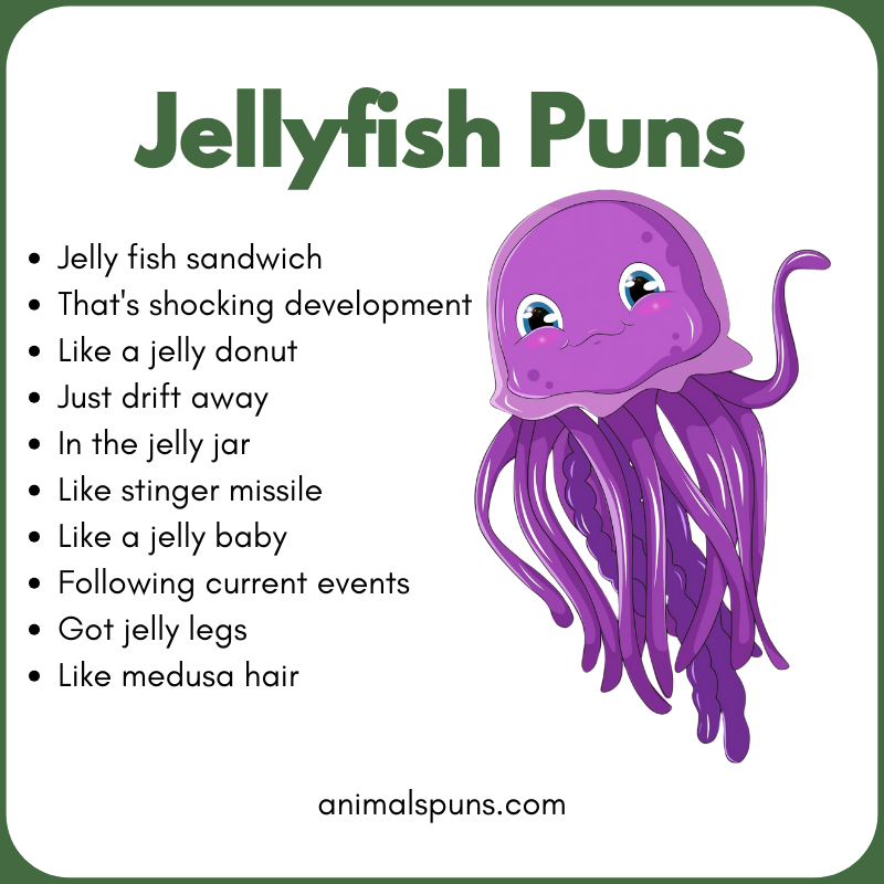 Best Jellyfish Puns of All Time: jellyfish pun illustration