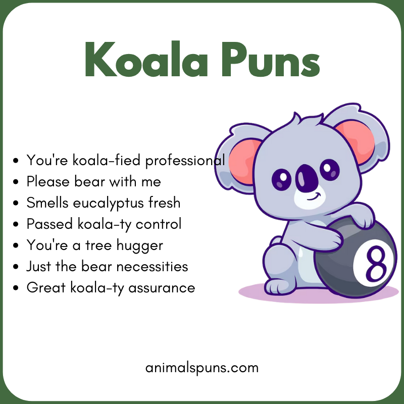 Koala Puns for Kids 😄: koala pun illustration