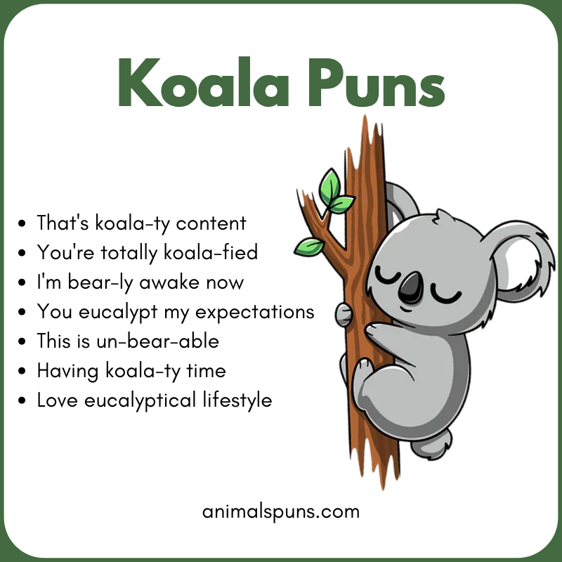 Koala One-Liner Puns: koala pun illustration