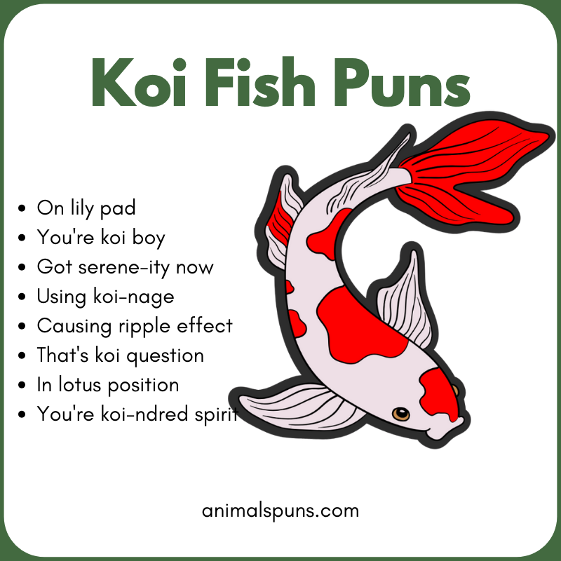 Romantic Koi Fish Puns: koi fish pun illustration