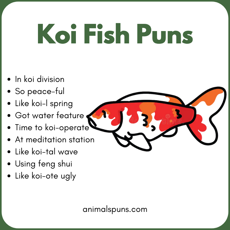 Best Koi Fish Puns of All Time: koi fish pun illustration