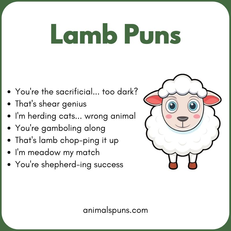 Short One-Line Lamb Puns: lamb pun illustration