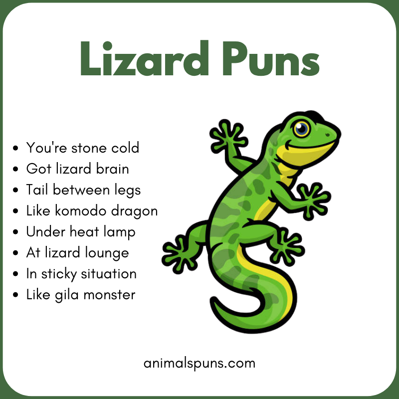 Funny Lizard One-Liners: lizard pun illustration