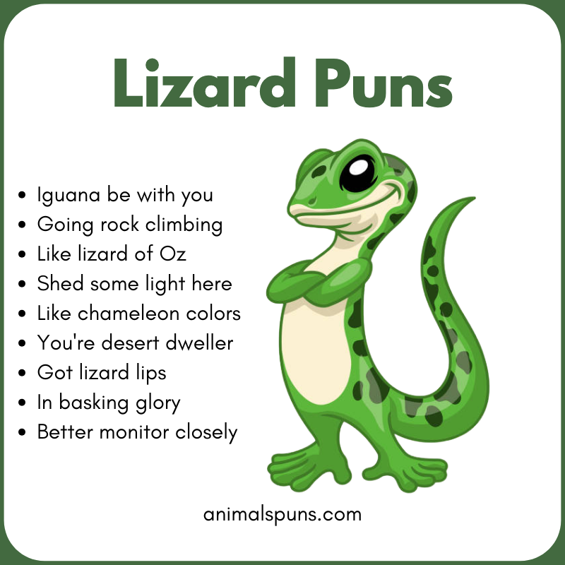 Best Lizard Puns of All Time: lizard pun illustration