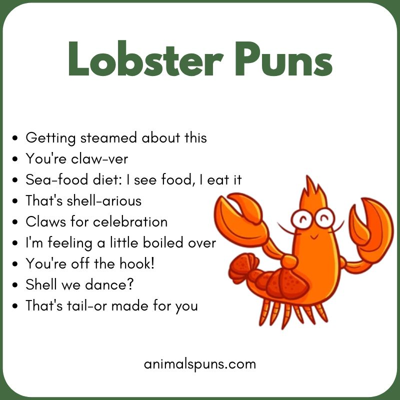 Short One-Line Lobster Puns: lobster pun illustration