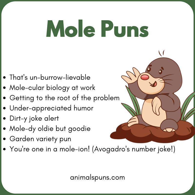 Short One-Line Mole Puns: mole pun illustration
