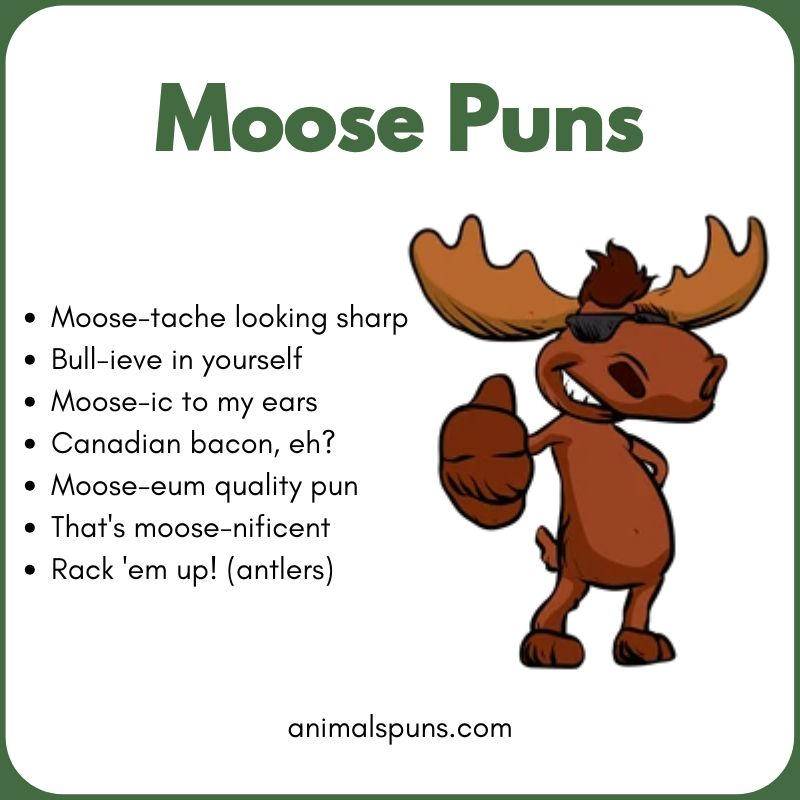 Cute Moose Puns for Kids: moose pun illustration