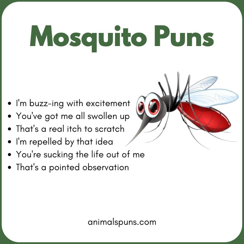 Short One-Line Mosquito Puns: mosquito pun illustration
