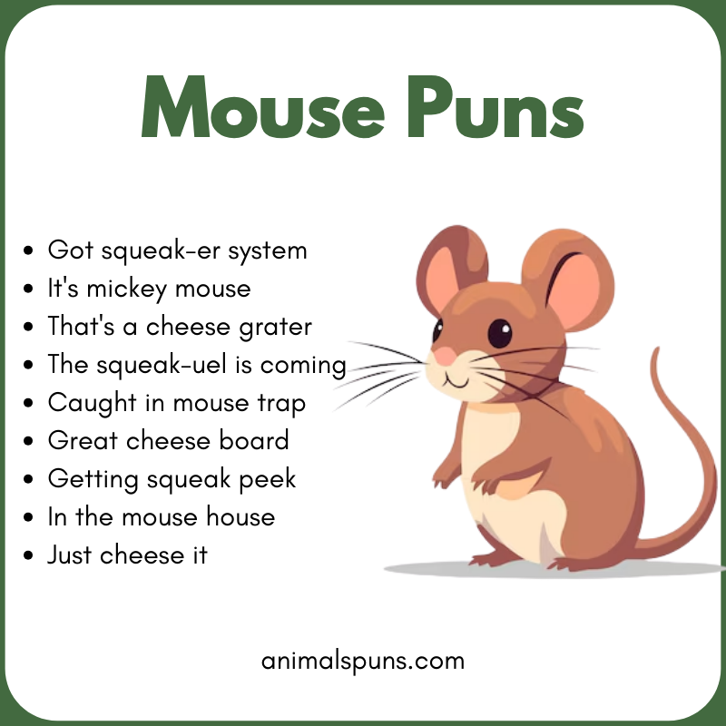 Cheesy Mouse Puns 🧀: mouse pun illustration