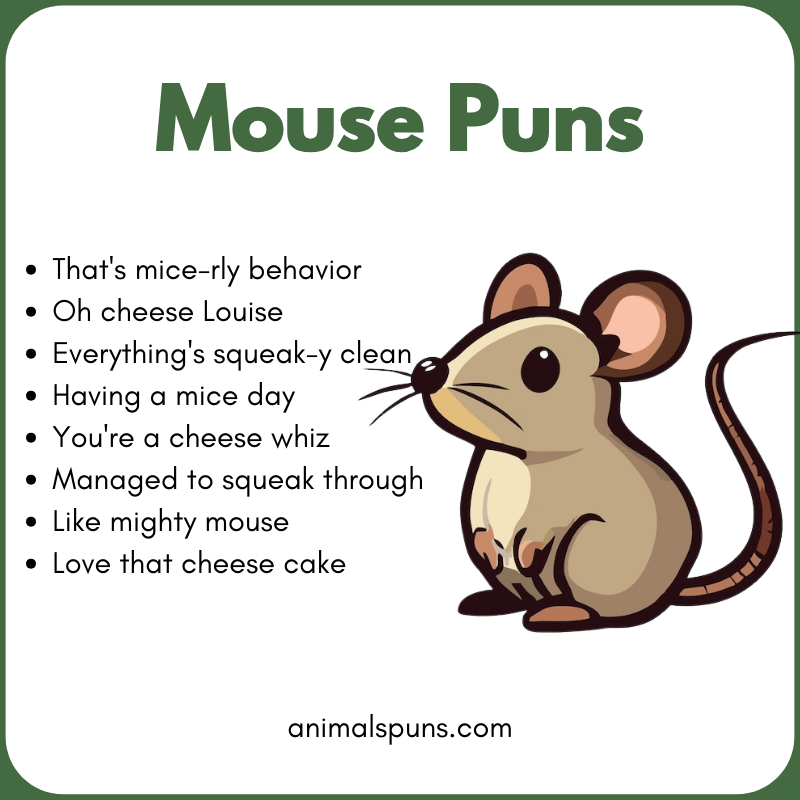 Short One-Line Mouse Puns: mouse pun illustration