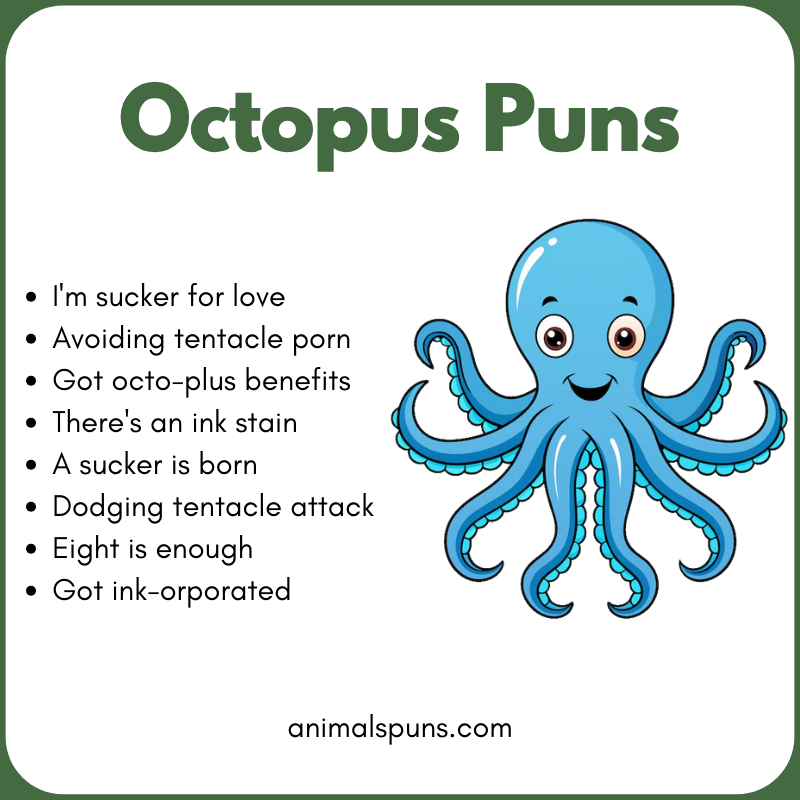 Octopus Puns for Kids: octopus pun illustration