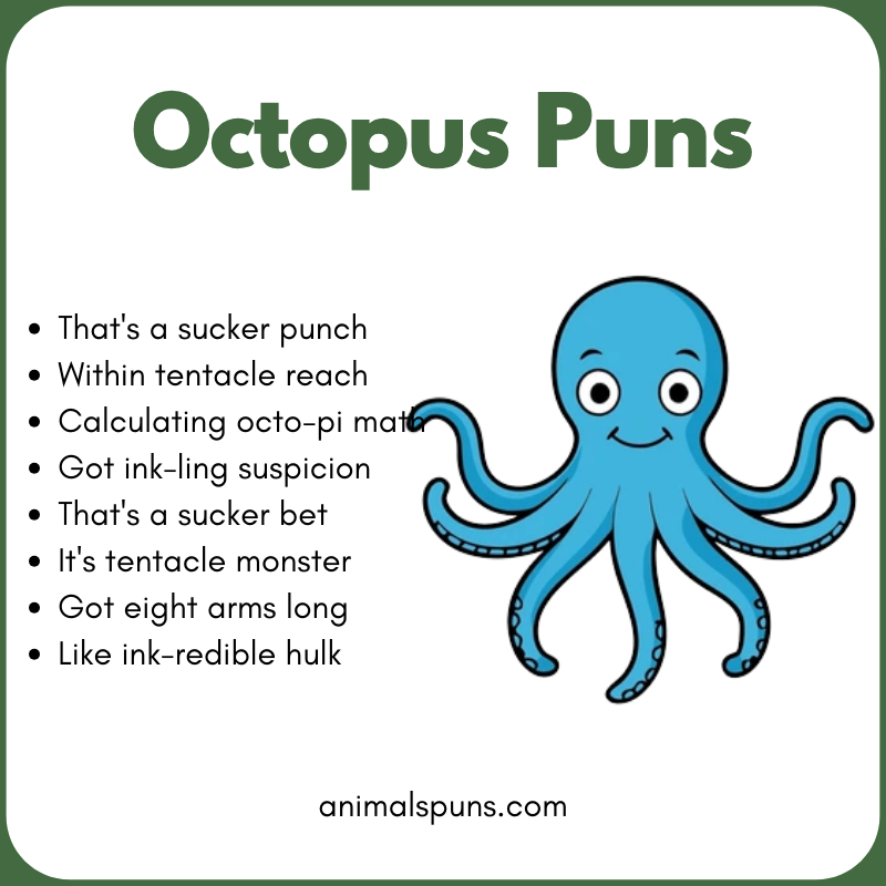 Short One-Liner Octopus Puns: octopus pun illustration