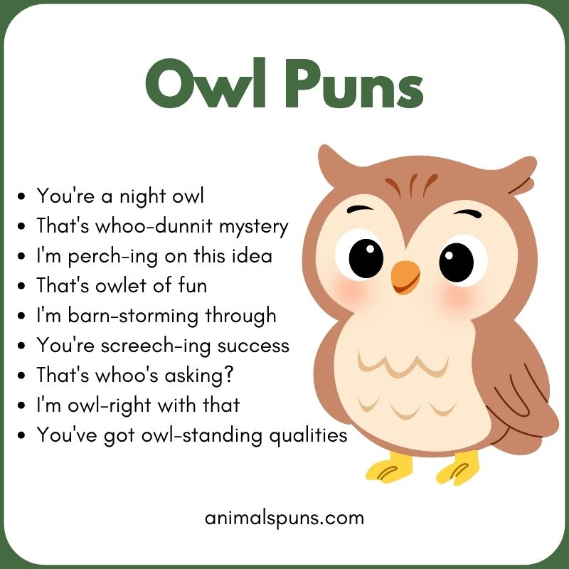 Best Owl Puns of All Time 🦉: owl pun illustration