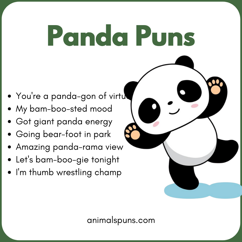 Panda Puns for Kids 🎈: panda pun illustration