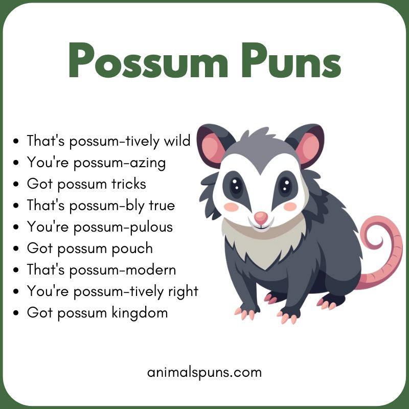 Best Possum Puns of All Time: possum pun illustration