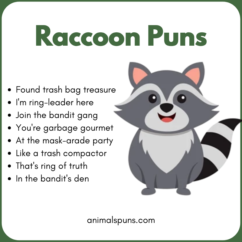 Short Raccoon One-Liners: raccoon pun illustration