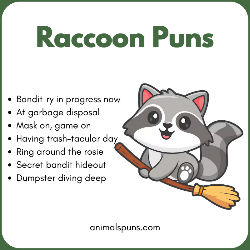Best Raccoon Puns of All Time: raccoon pun illustration