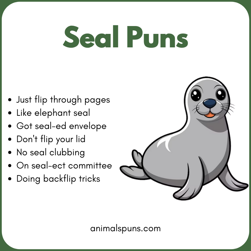 Seal Puns for Kids 🧒: seal pun illustration