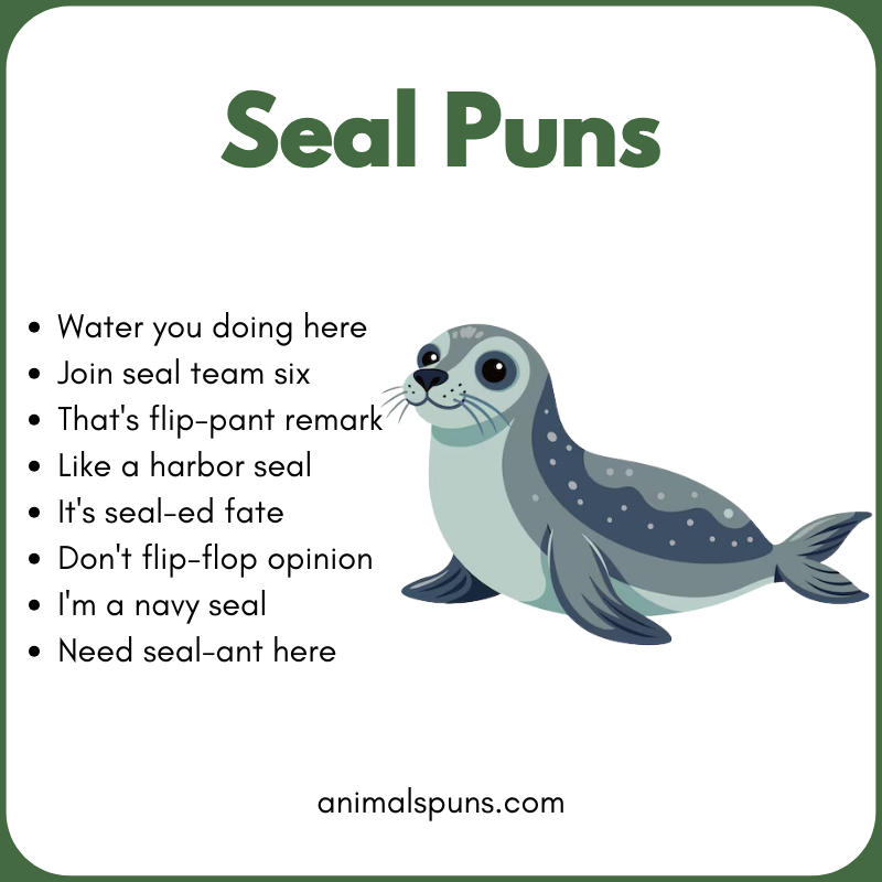 Short Seal One-Liners: seal pun illustration