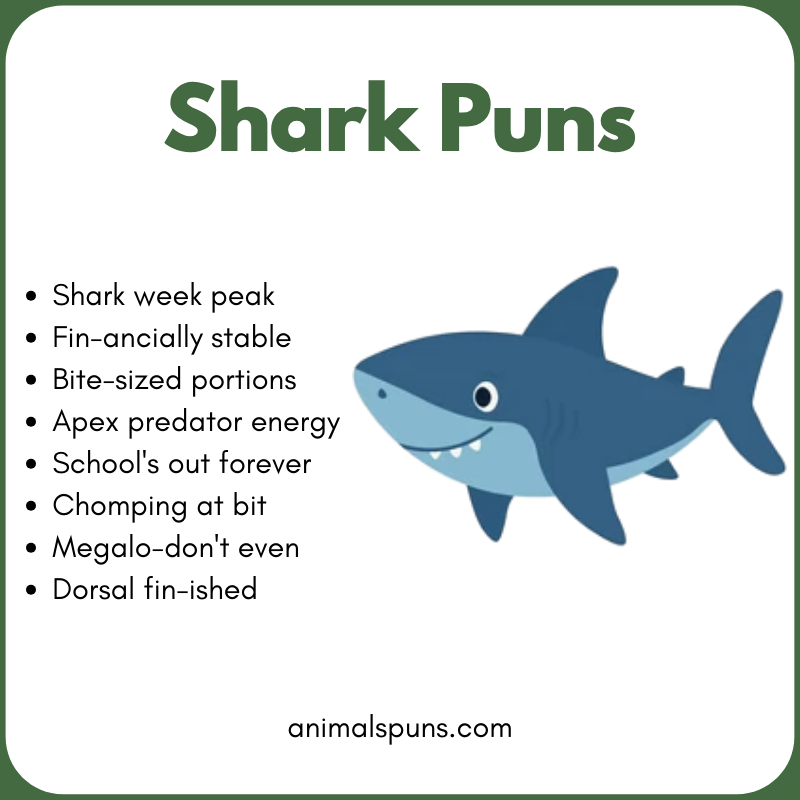 Shark Puns for Kids: shark pun illustration