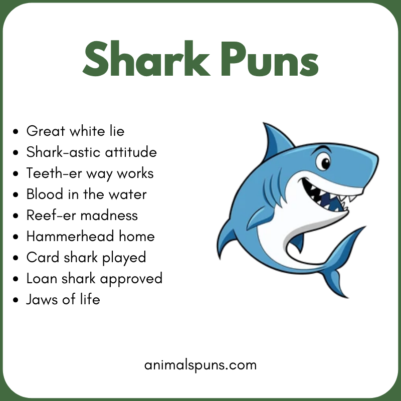 Best Shark Puns of All Time: shark pun illustration