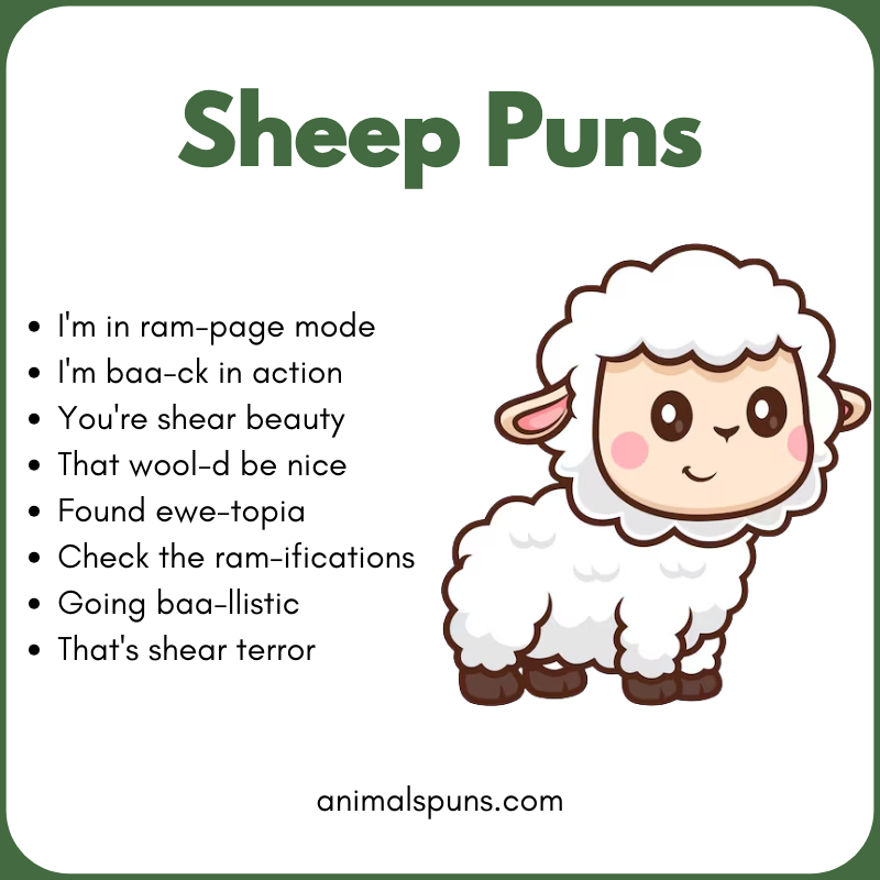 Sheep Puns for Kids: sheep pun illustration