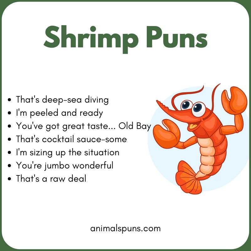Short Shrimp One-Liners: shrimp pun illustration