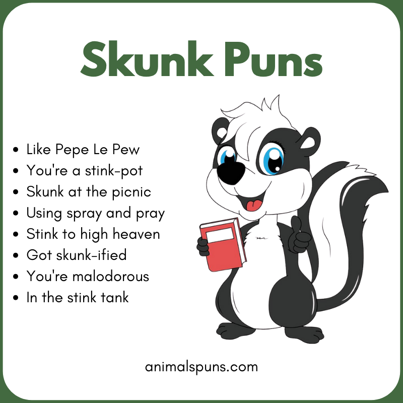 Skunk One-Liners That Hit Fast: skunk pun illustration