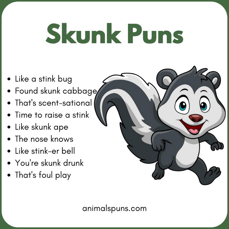 Cute Skunk Puns for Animal Lovers: skunk pun illustration