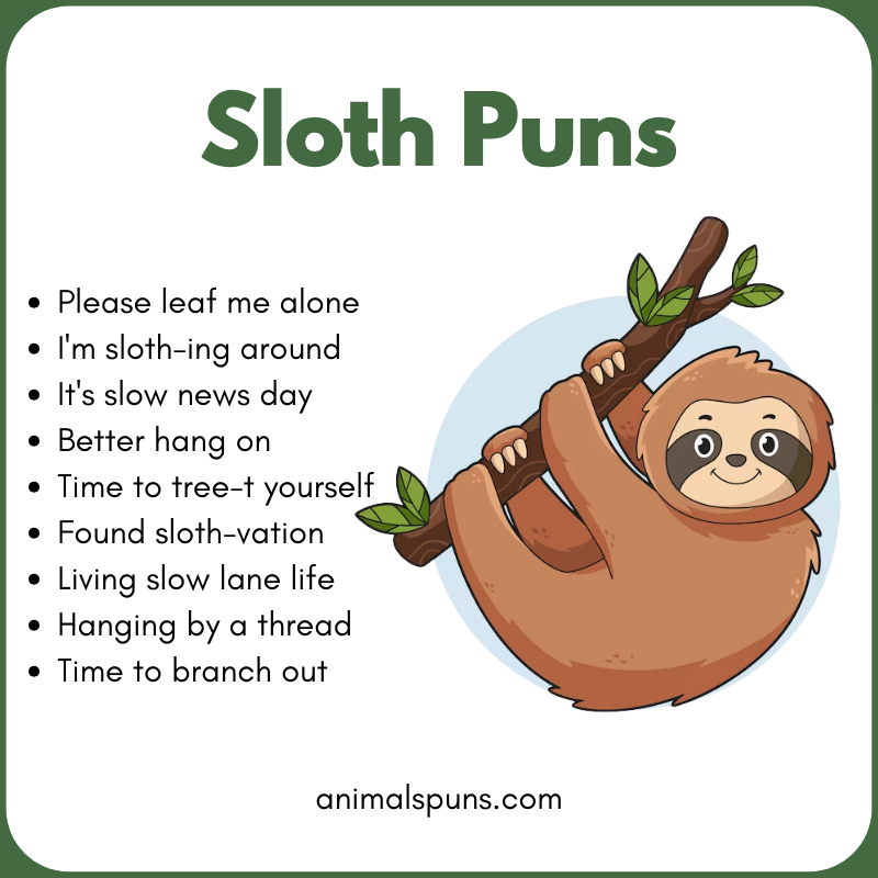 Sloth Puns for Kids 🧒: sloth pun illustration