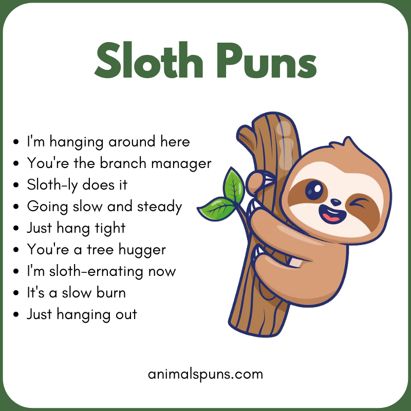 Best Sloth Puns of All Time 🦥: sloth pun illustration