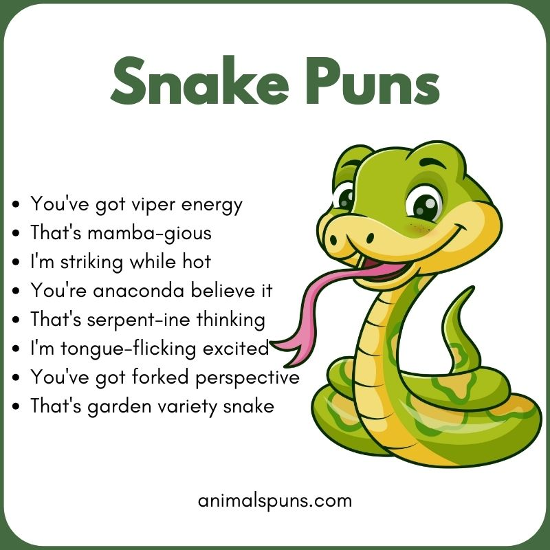 Best Snake Puns of All Time: snake pun illustration