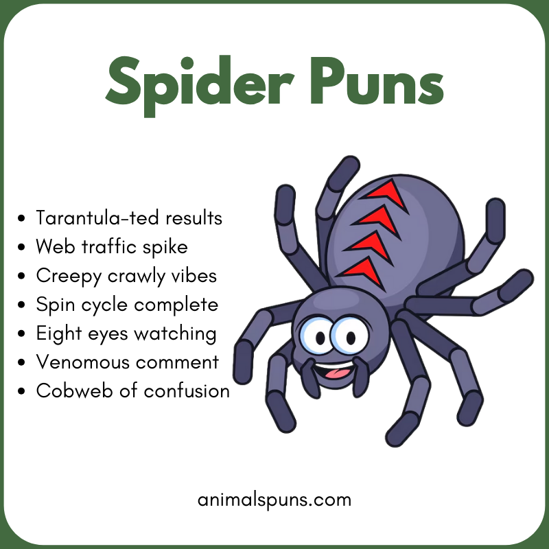 Spider Puns for Kids: spider pun illustration
