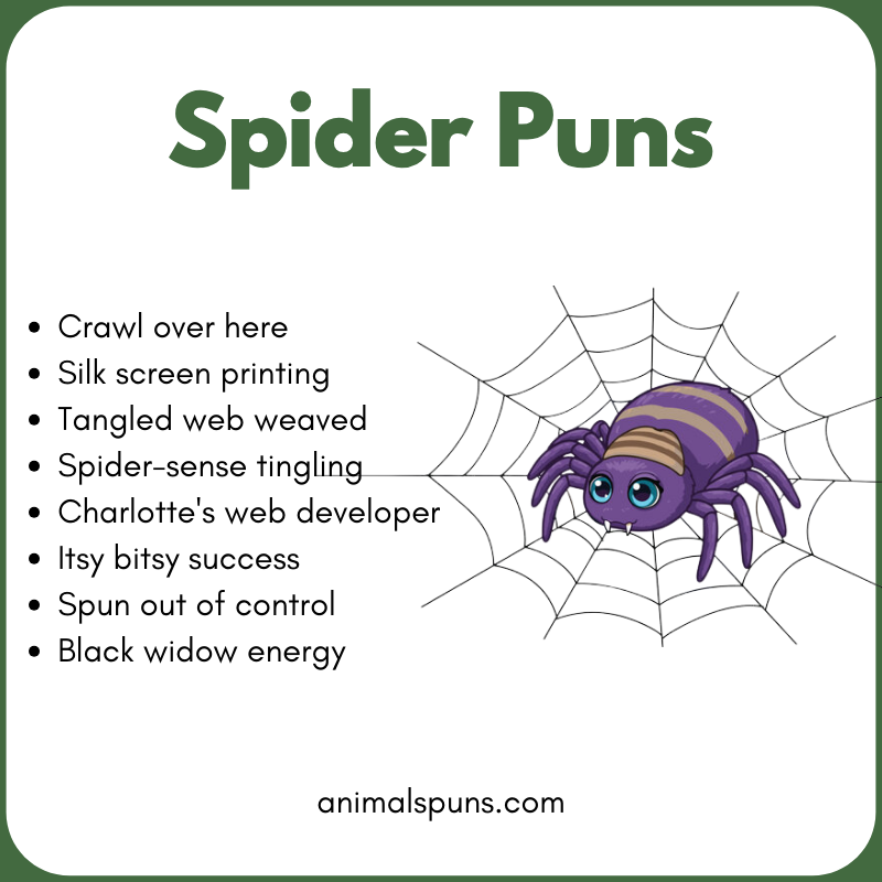 Spider Puns One Liners: spider pun illustration