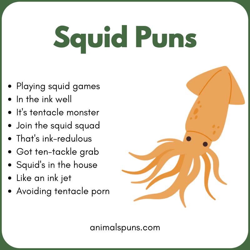 Squid Puns for Kids 🦑: squid pun illustration