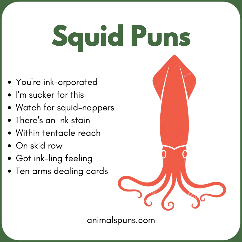 One-Liner Squid Puns 😄: squid pun illustration