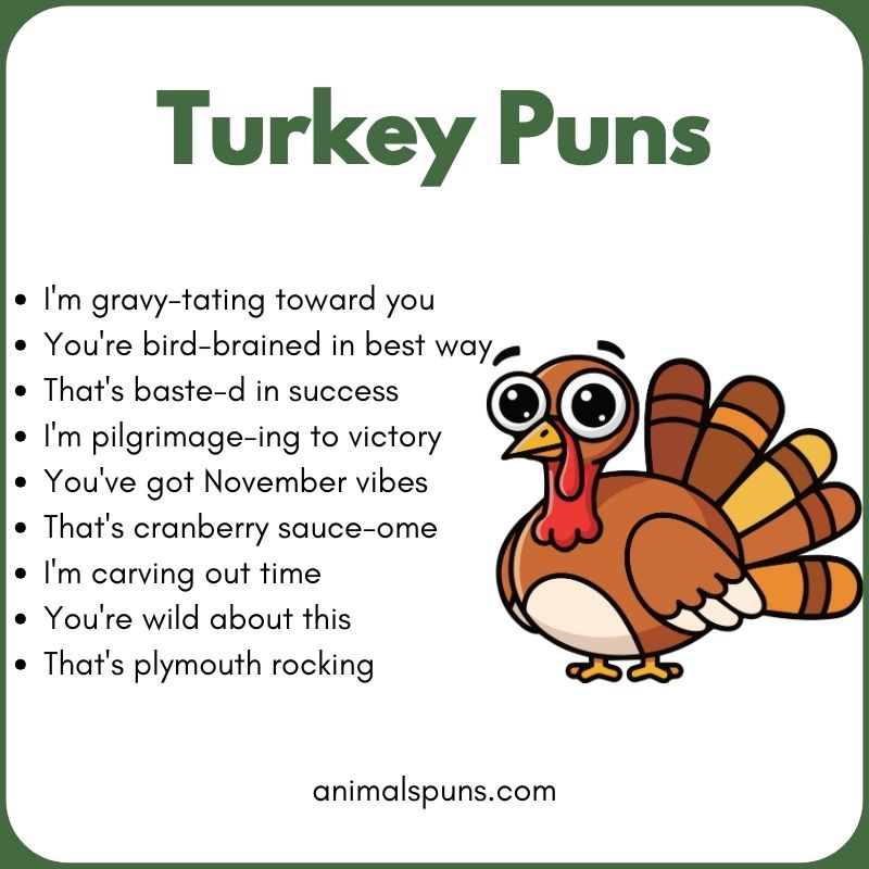 Turkey Puns for Adults: turkey pun illustration