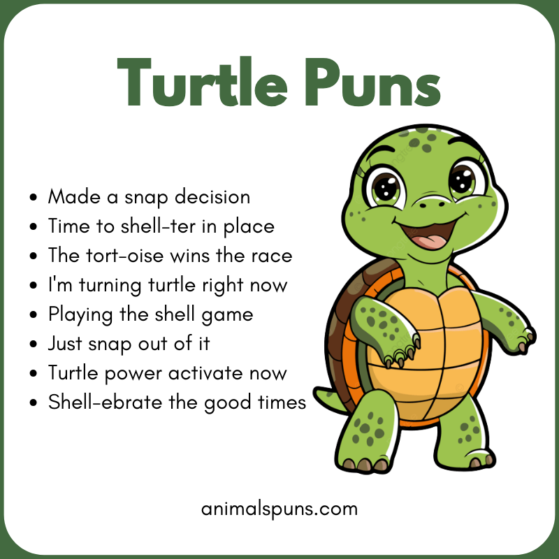 Best Turtle Puns of All Time: turtle pun illustration