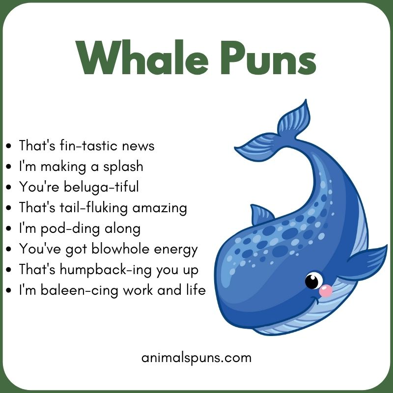 Best Whale Puns of All Time 🐋: whale pun illustration
