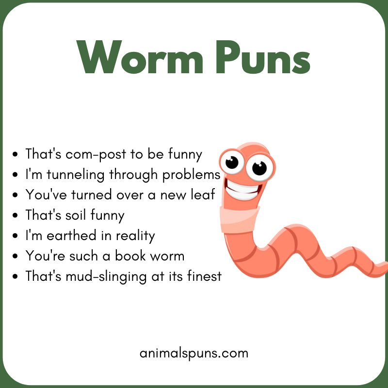 Worm Puns for Instagram Captions: worm pun illustration