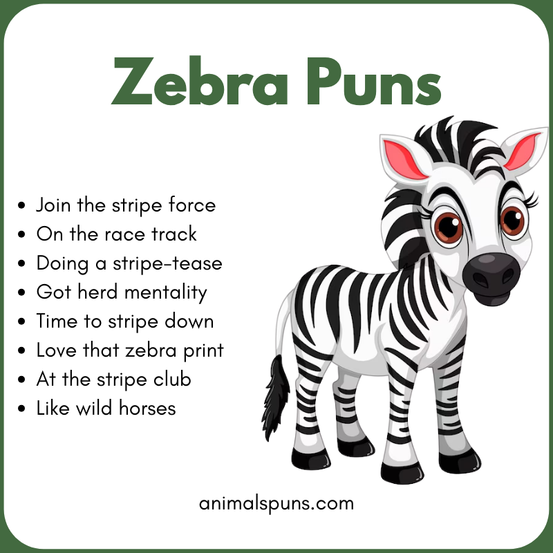 Cute Zebra Puns: zebra pun illustration