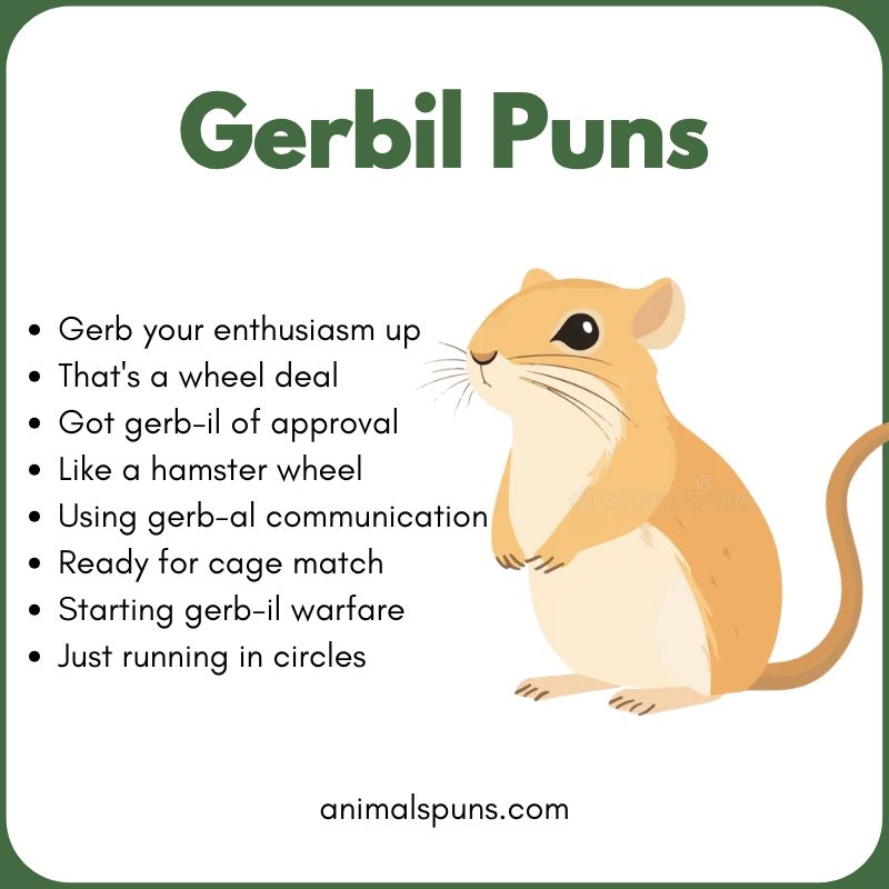 Cute Gerbil Puns for Pet Lovers: gerbil pun illustration
