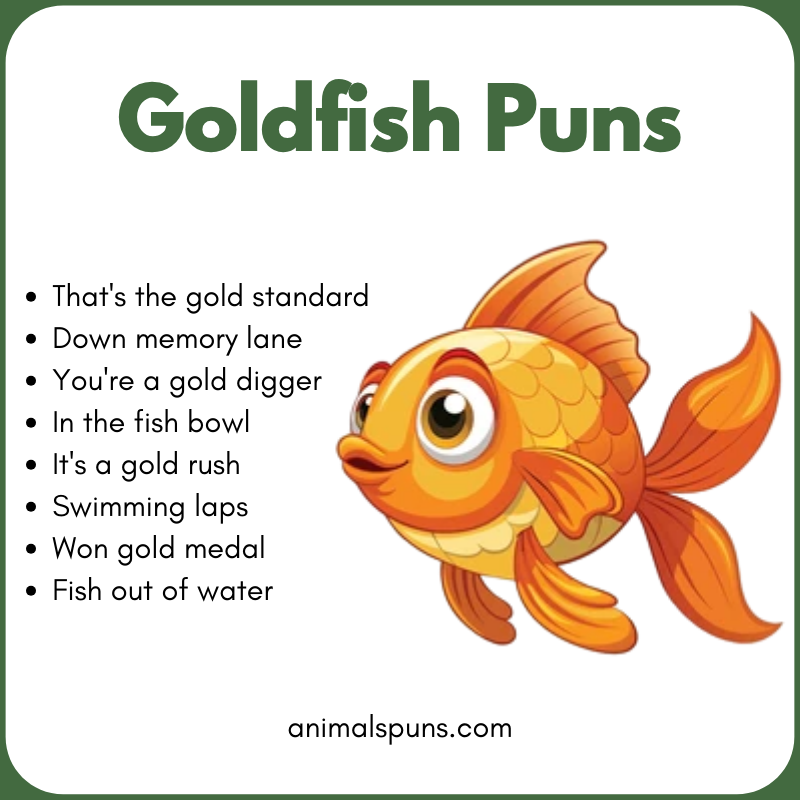 Best Goldfish Puns of All Time: goldfish pun illustration