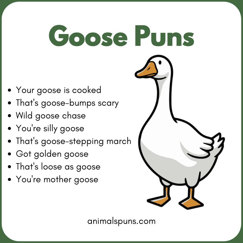 Funny Goose One-Liners: goose pun illustration